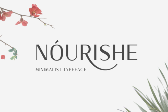 Discover the Power of Nourishe: A Modern Sans Serif Font for Stunning Design